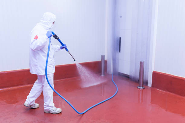 Paint Preparation in English, IN